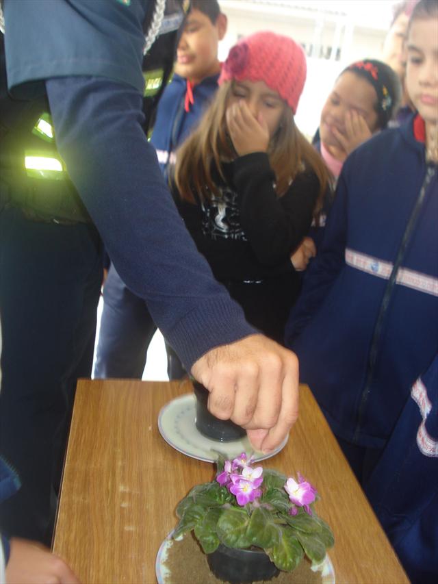 Guarda Mirim - Aula sobre a Dengue.