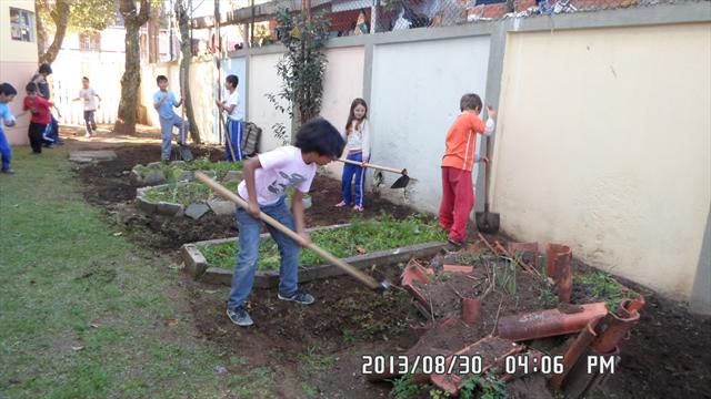 Implantação de horta na escola