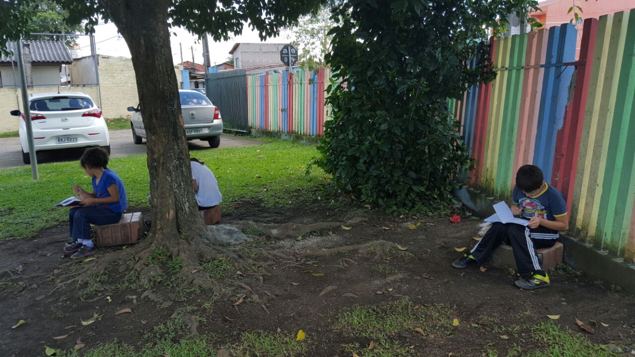 Observando e Representando