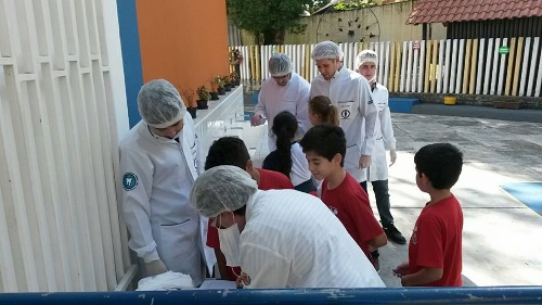 Programa dentista na escola