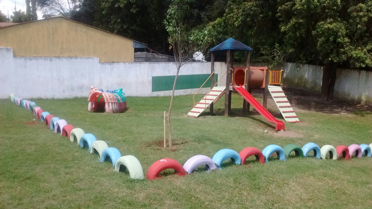 árvores no parque