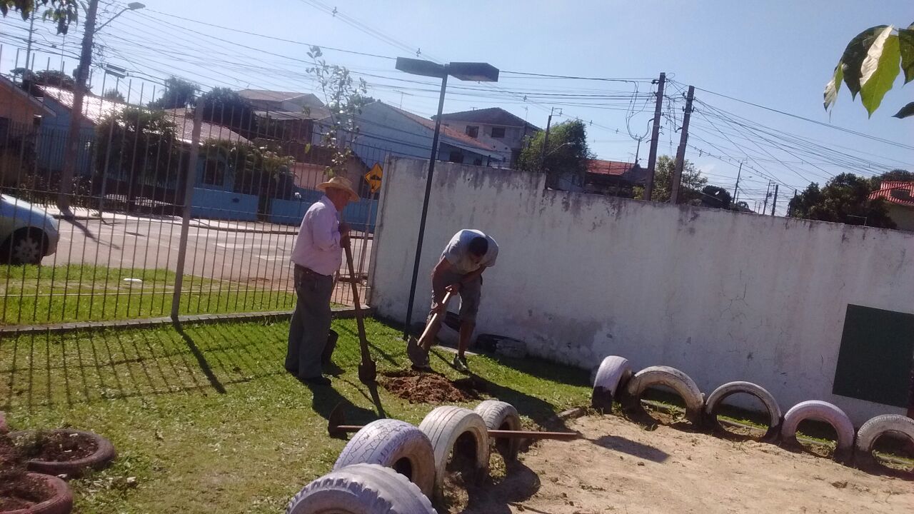 árvores no parque