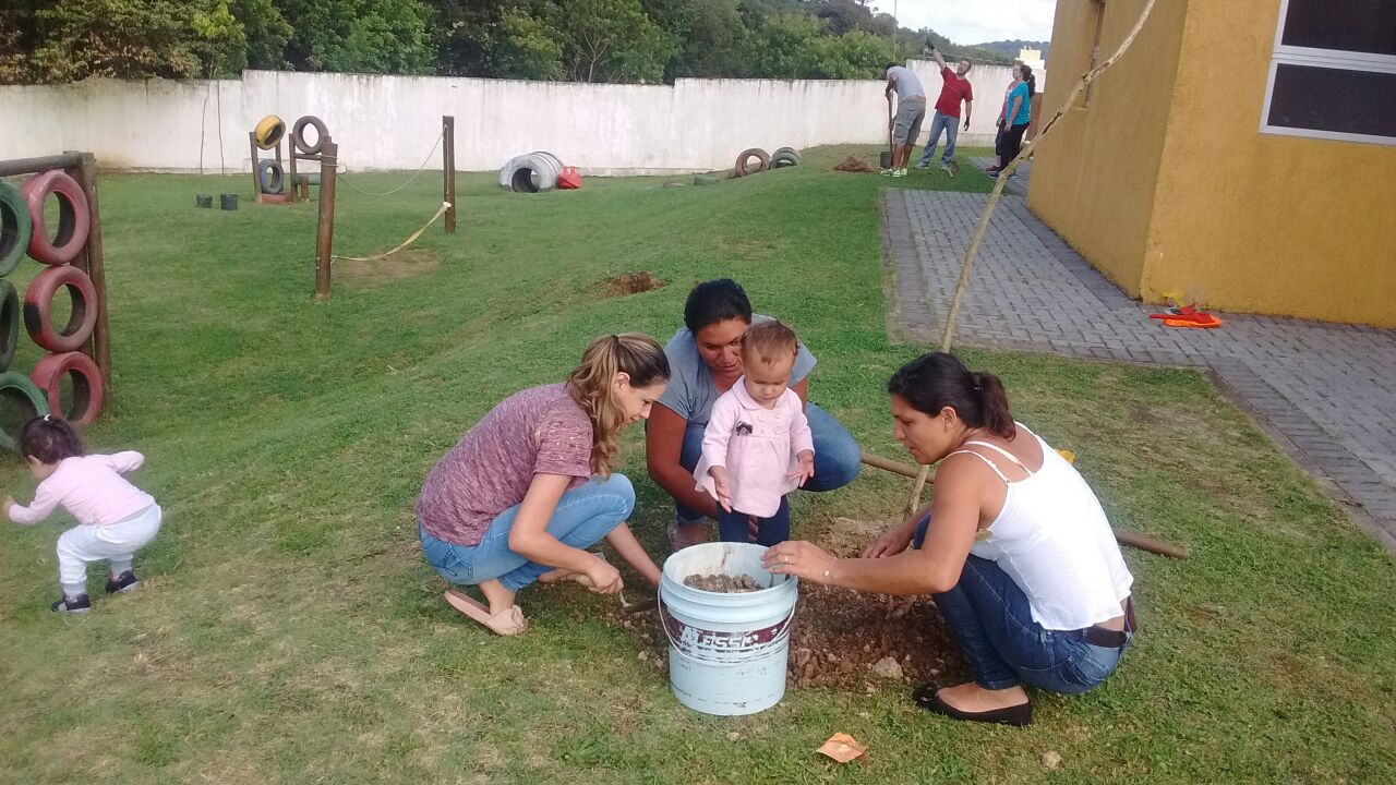 árvores no parque