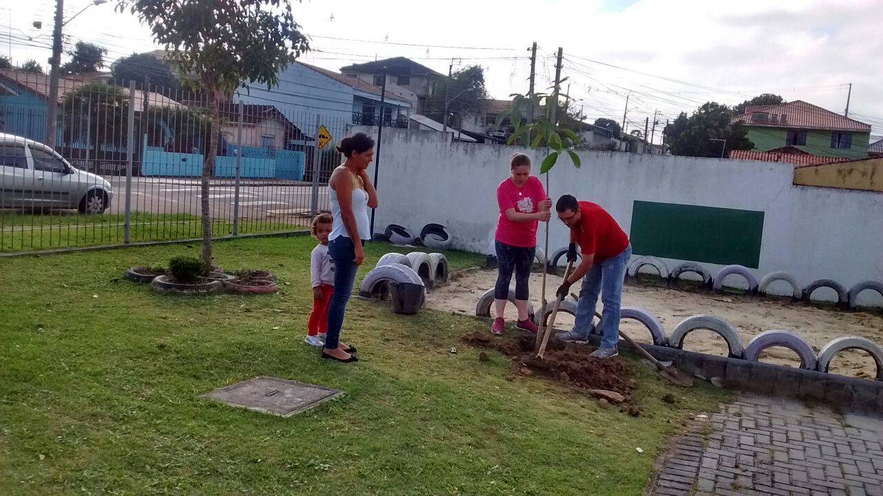 árvores no parque