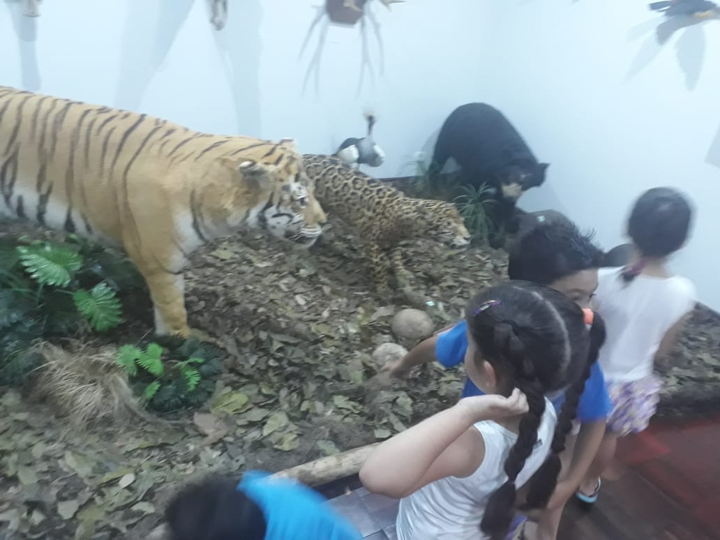Museu em que as obras de arte são os animais.
