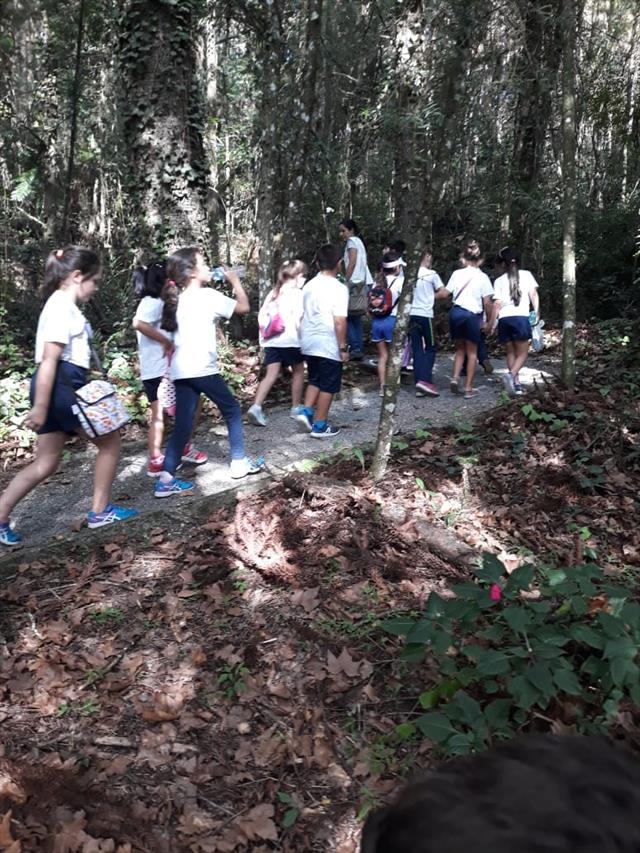 Aula de campo na Casa Verde