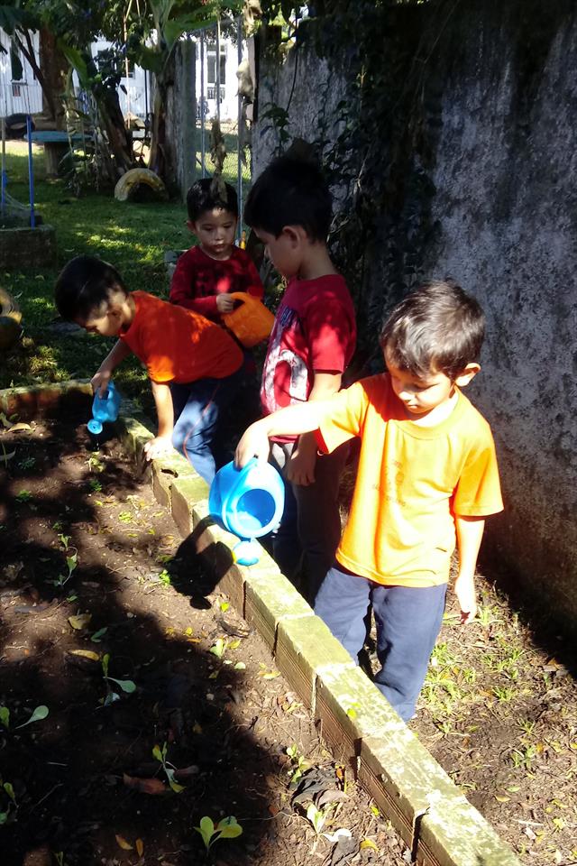 Plantando, dá!