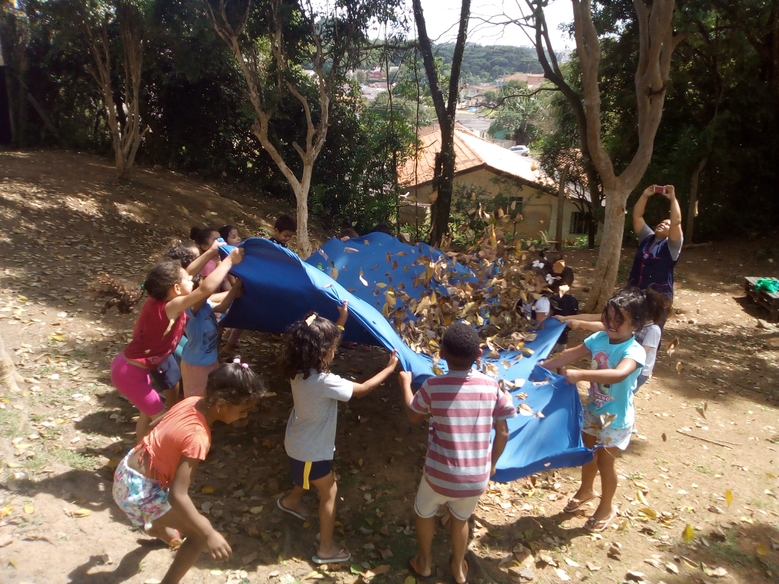 ENCANTOS DO BOSQUE