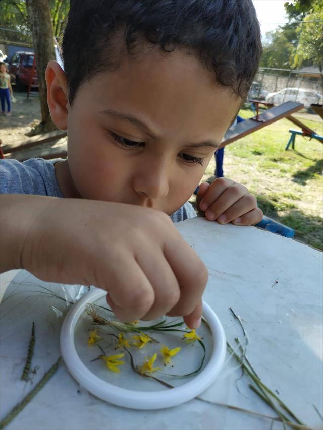 Educação Infantil