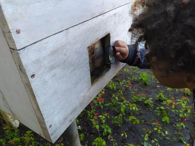 Conhecendo as Abelhas sem Ferrão no Jardim de Mel do Parque Barigui