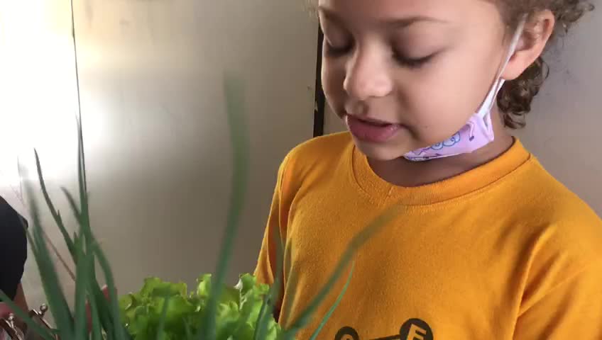 Estudante explica a dinâmica da venda dos produtos da horta escolar