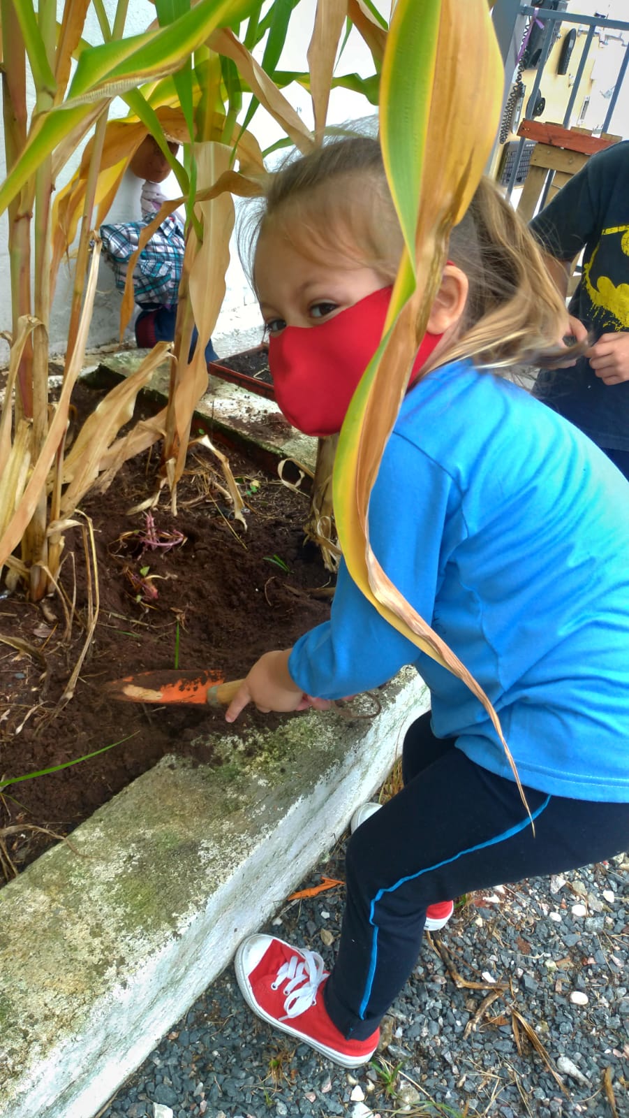 PROJETO HORTA - JARDINS DE MEL