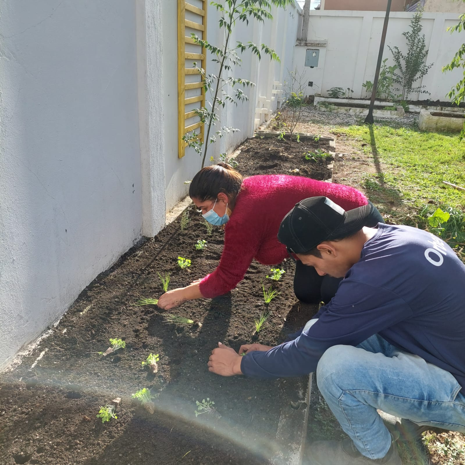 PROJETO HORTA - JARDINS DE MEL