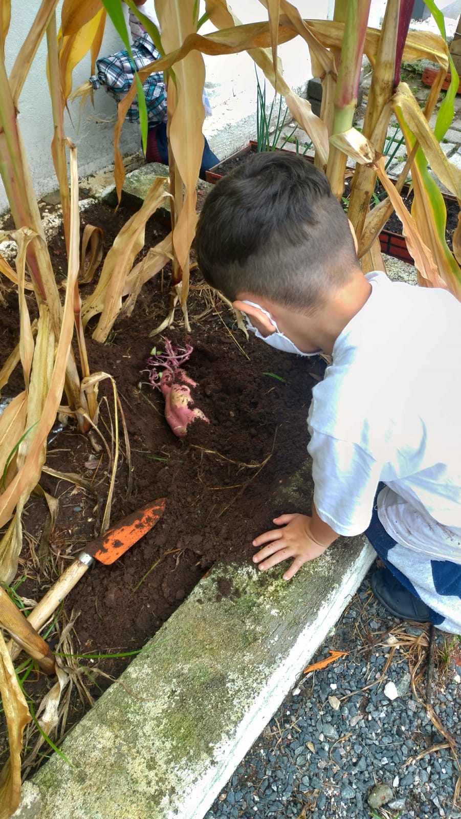 PROJETO HORTA - JARDINS DE MEL