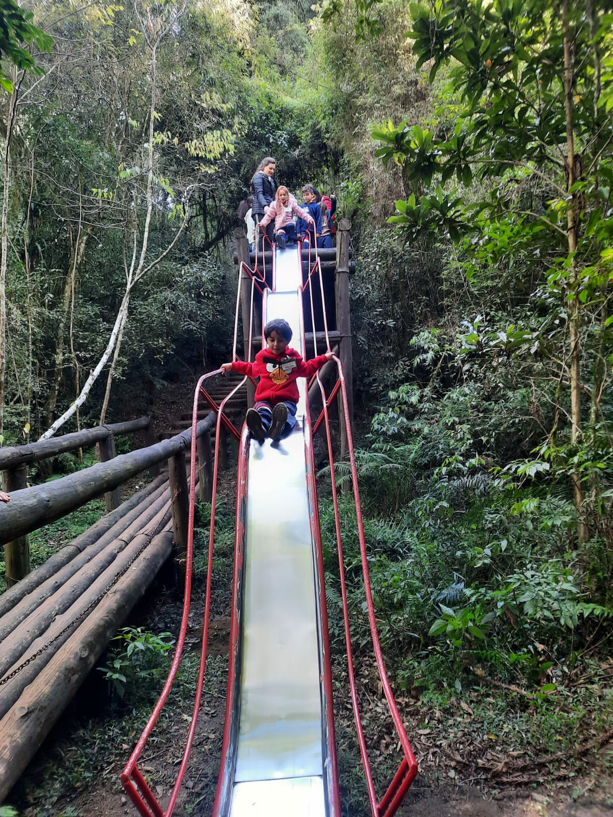 BOSQUE 1º ANO