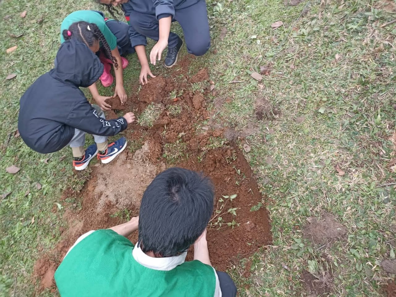 Implantação da horta, pomar e jardins de mel.