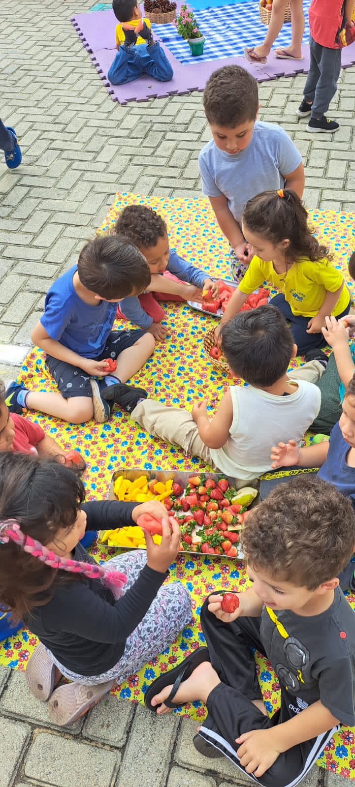 Dia do Frutinic