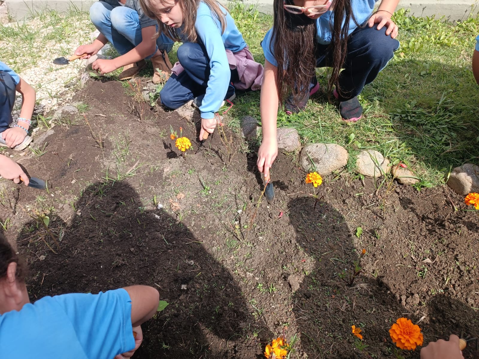 UEI - Educação Ambiental