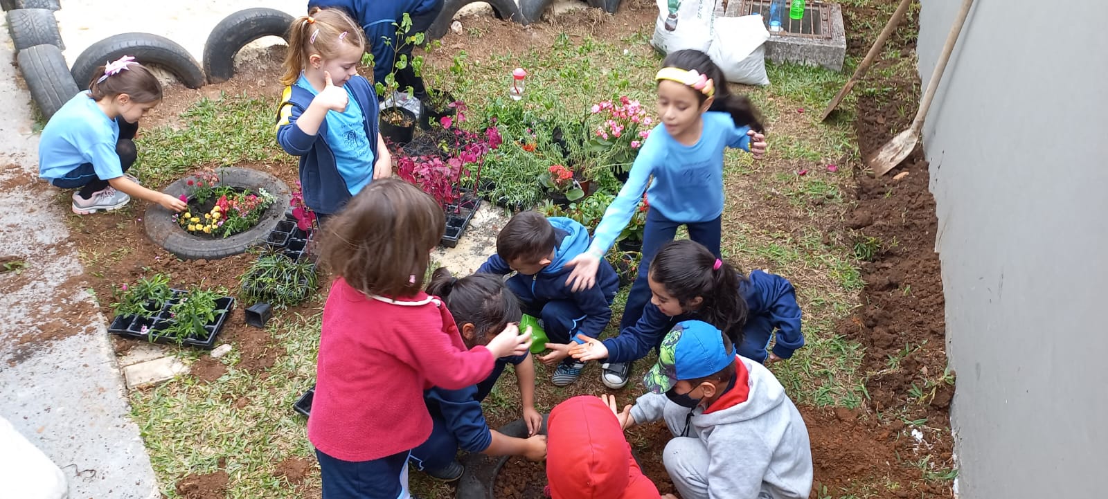 Jardim - Educação Infantil