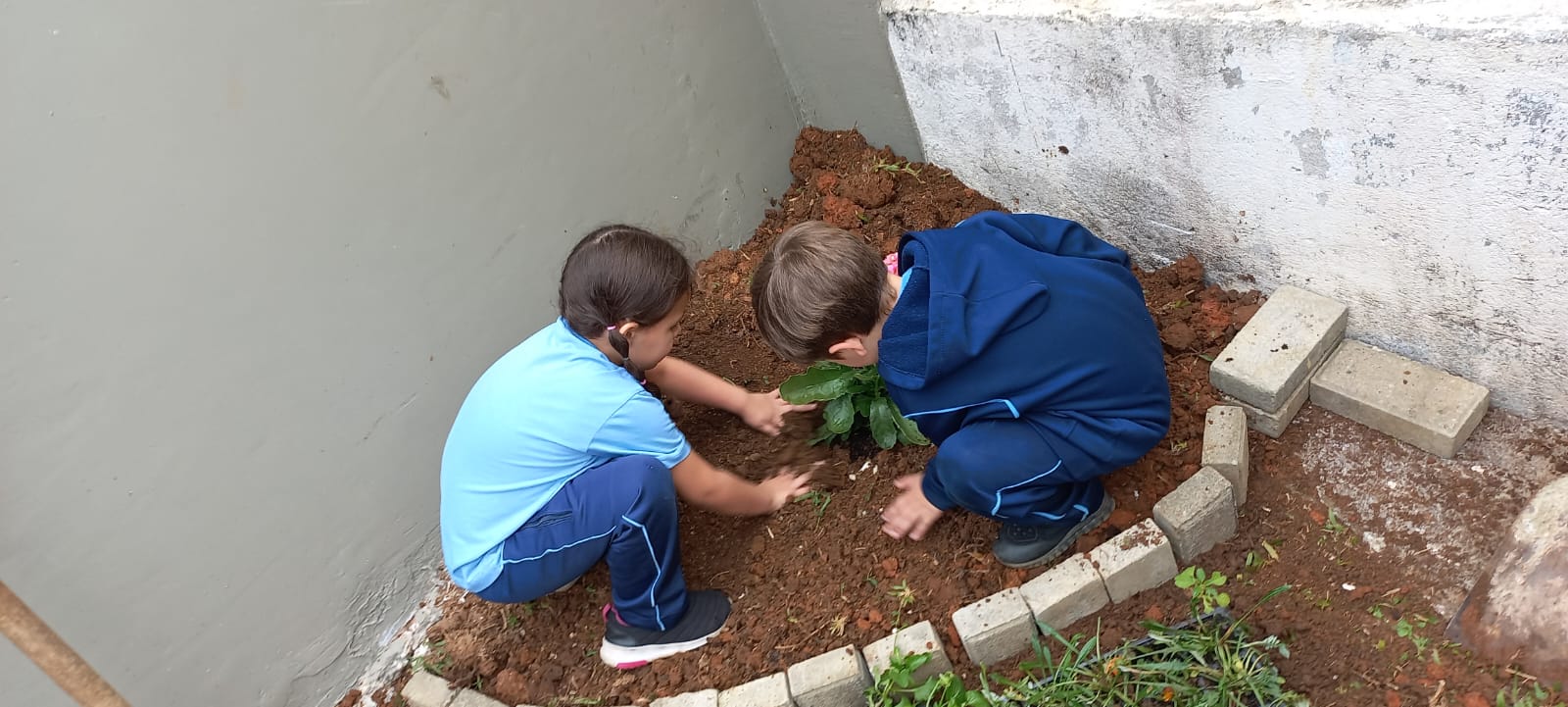 Jardim - Educação Infantil