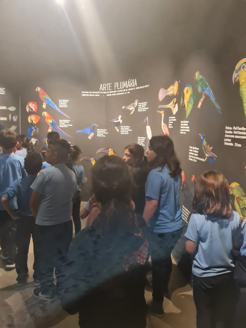 Museu de Arte Indígena - UEII