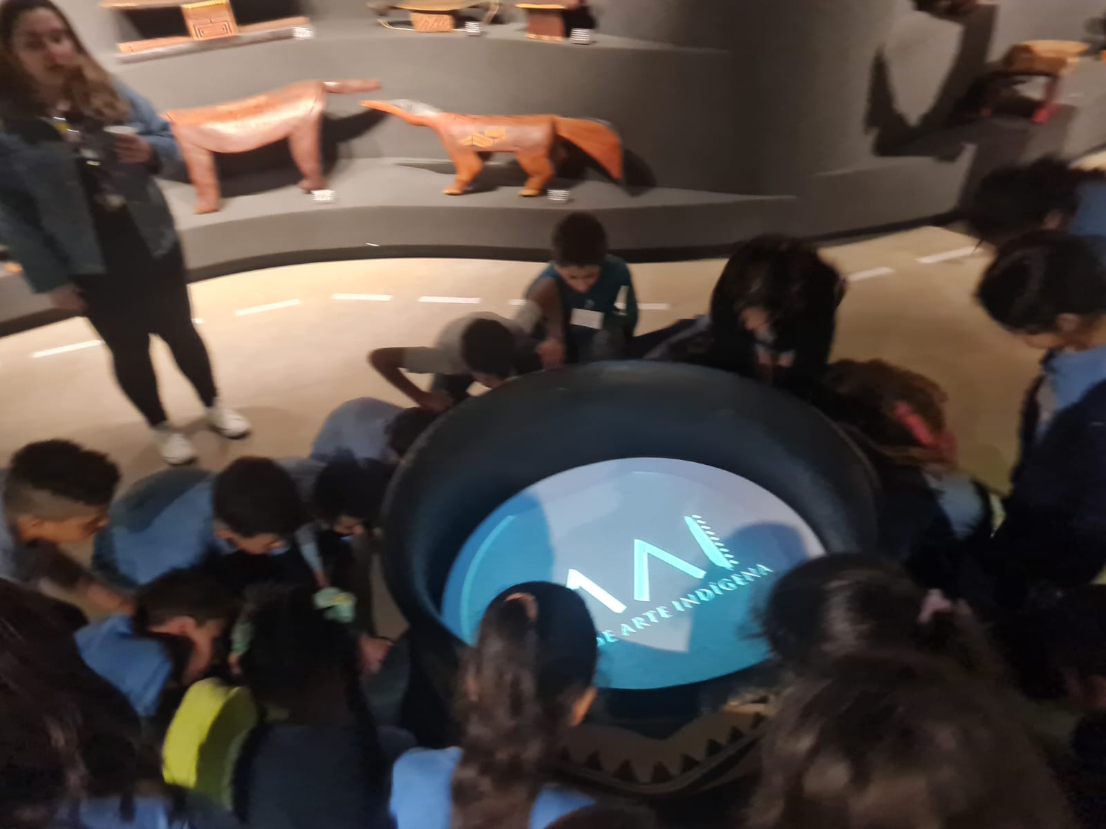 Museu de Arte Indígena - UEII