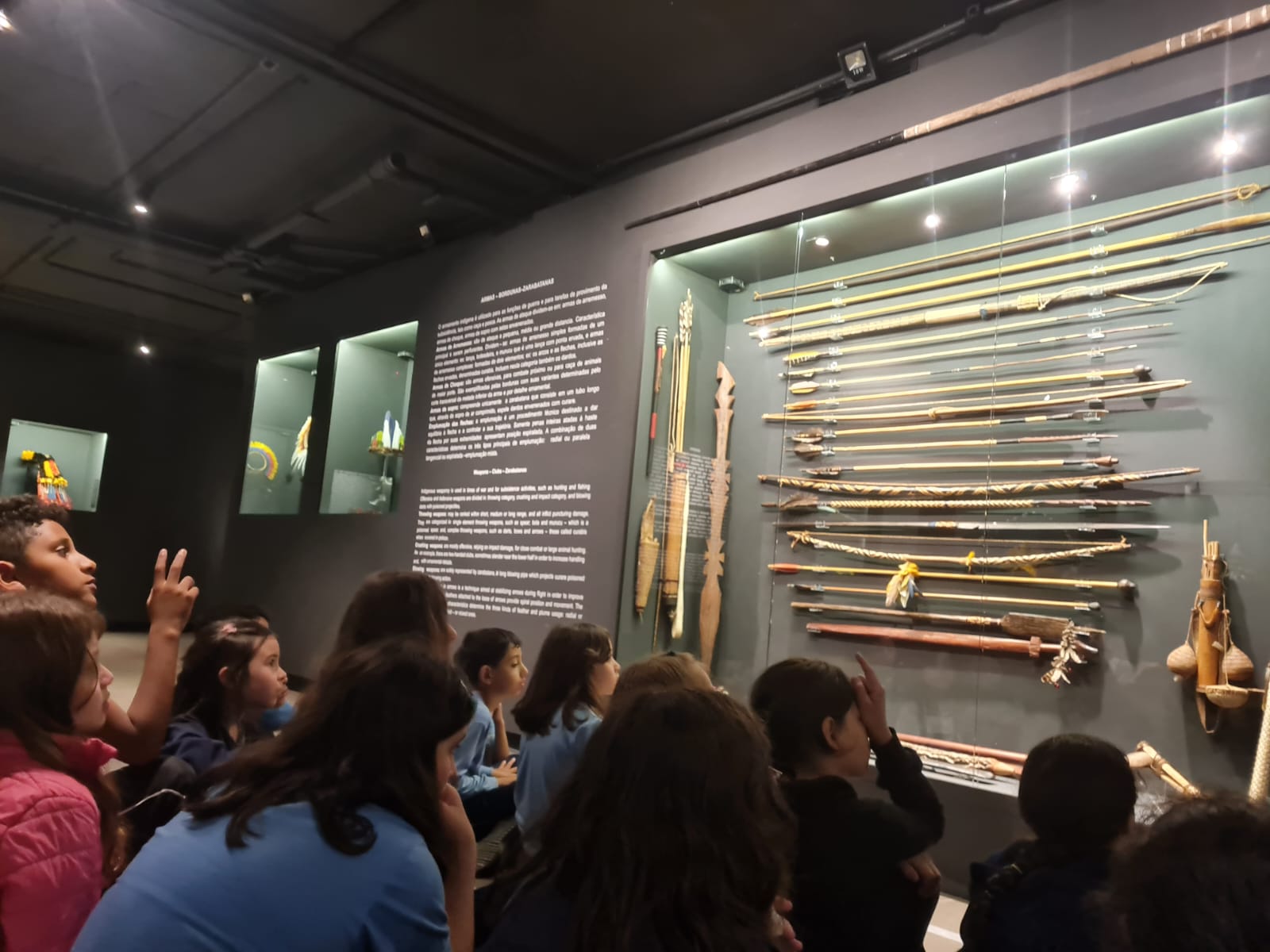Museu de Arte Indígena - UEII
