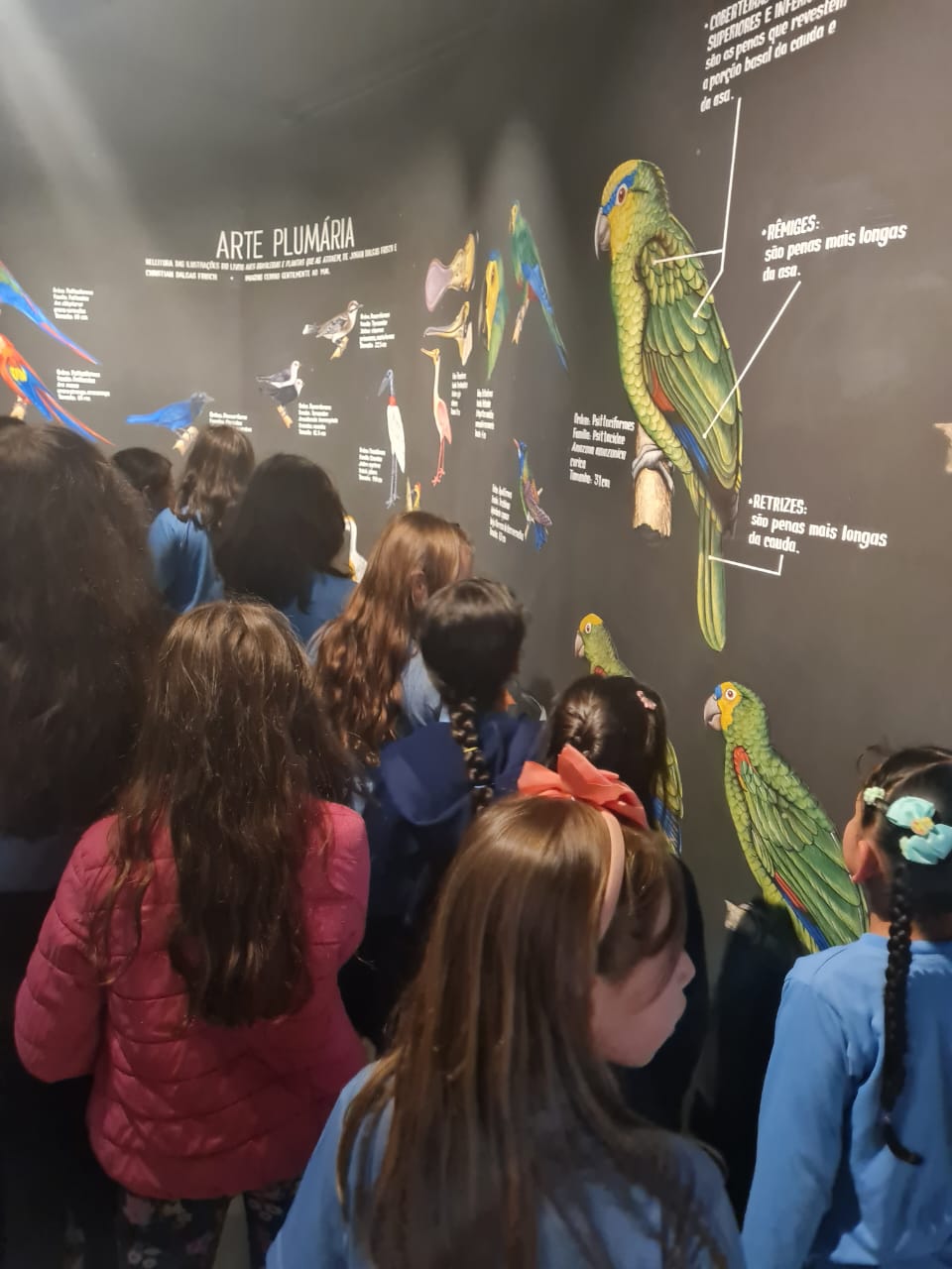 Museu de Arte Indígena - UEII