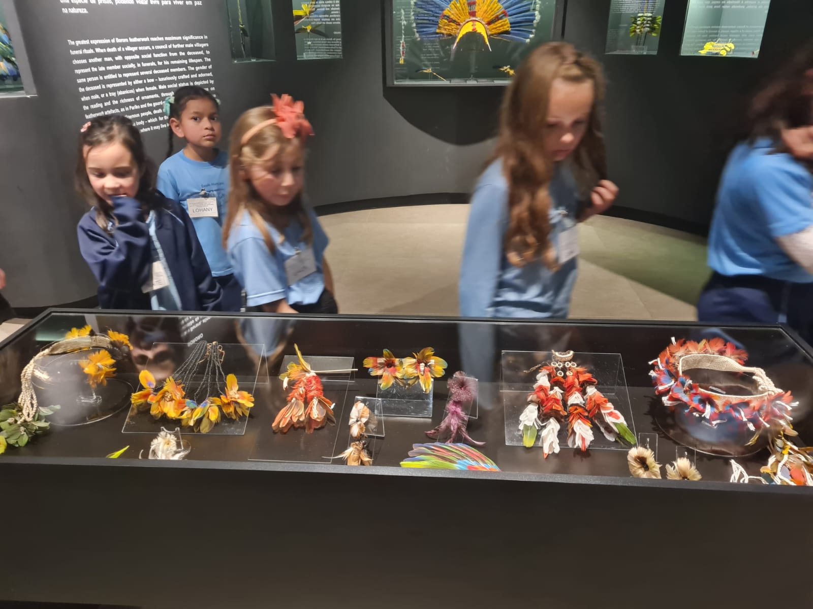 Museu de Arte Indígena - UEII