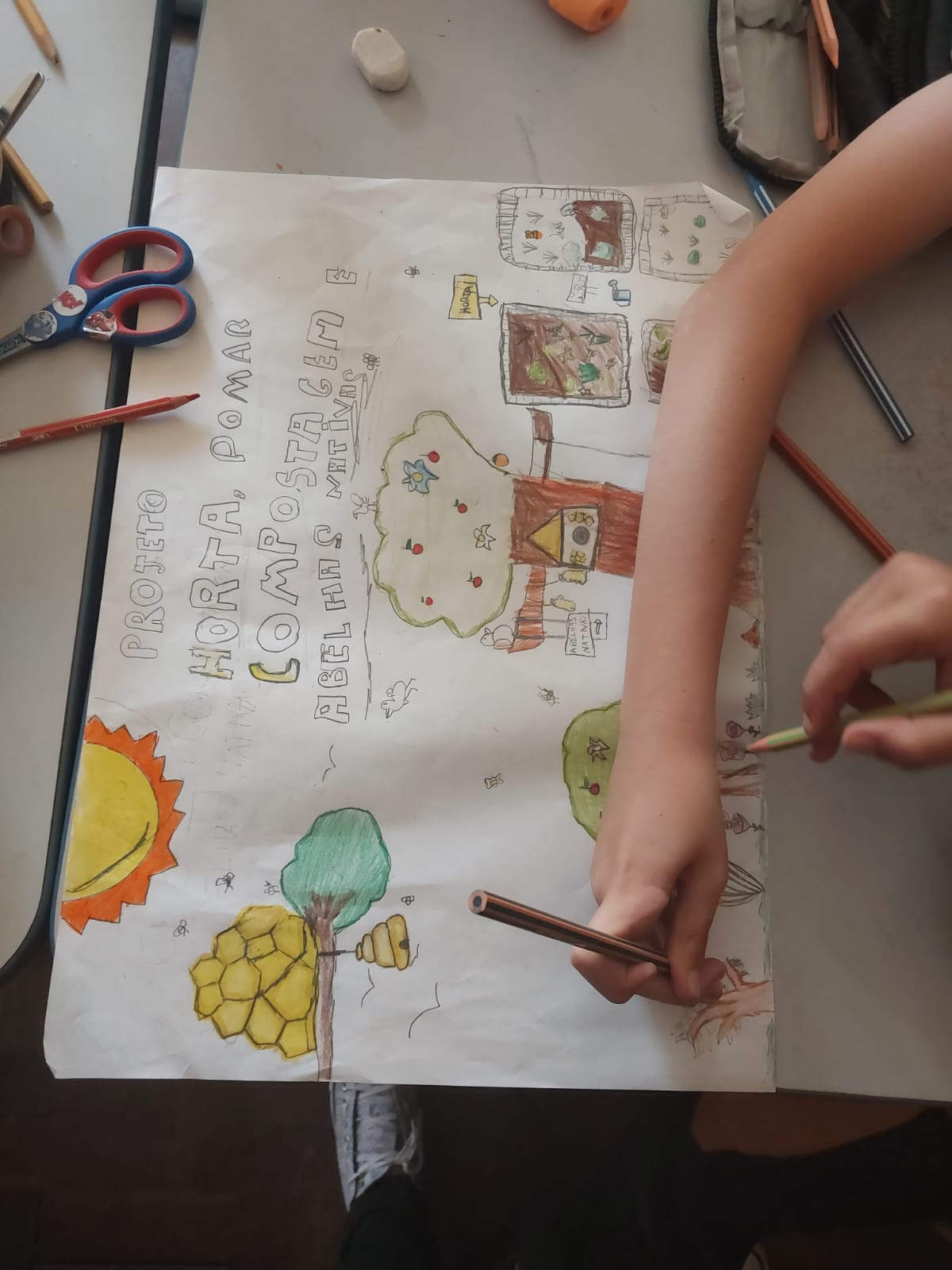 Projeto Ciências