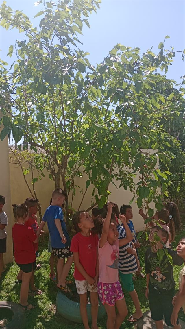 Projeto "Infância e meio ambiente - Sensibilizar, Reciclar e Aprender"